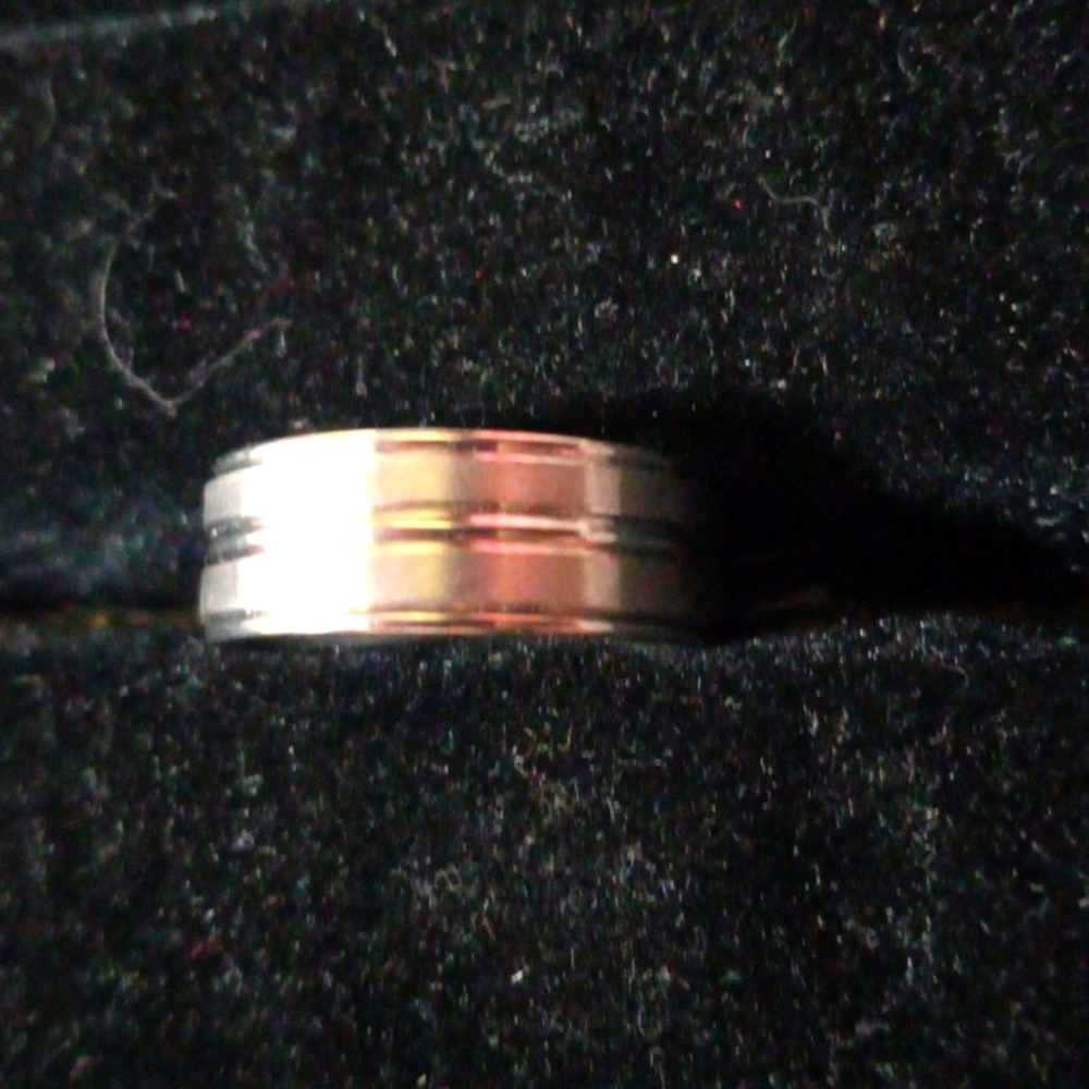 stainless steel ring #224